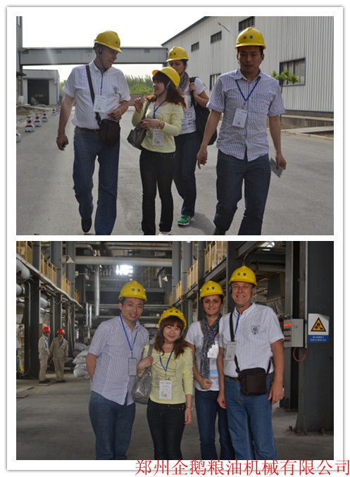 塞爾維亞客戶80噸大豆預處理浸出生產線(圖1) 預榨浸出生產線,預榨浸出生產線哪家好,預榨浸出生產線廠家