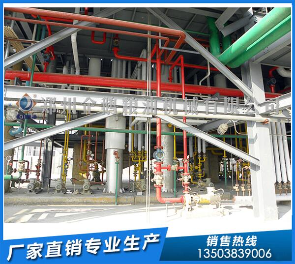 50噸棉籽浸出油設備,企鵝糧油品質貨真價實(圖1) 棉籽油浸出設備