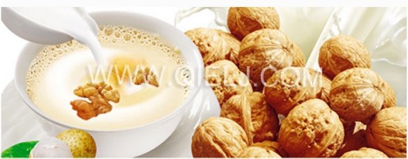 核桃油加工設備 核桃油成套榨油設備(圖8) 核桃油加工設備 核桃油成套榨油設備(圖8)